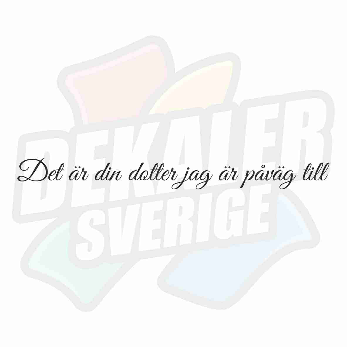 Det är din dotter jag är påväg till - Dekal