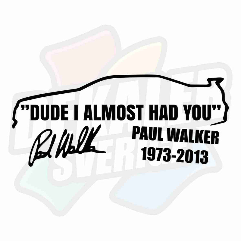 DUDE I ALMOST HAD YOU - Dekal