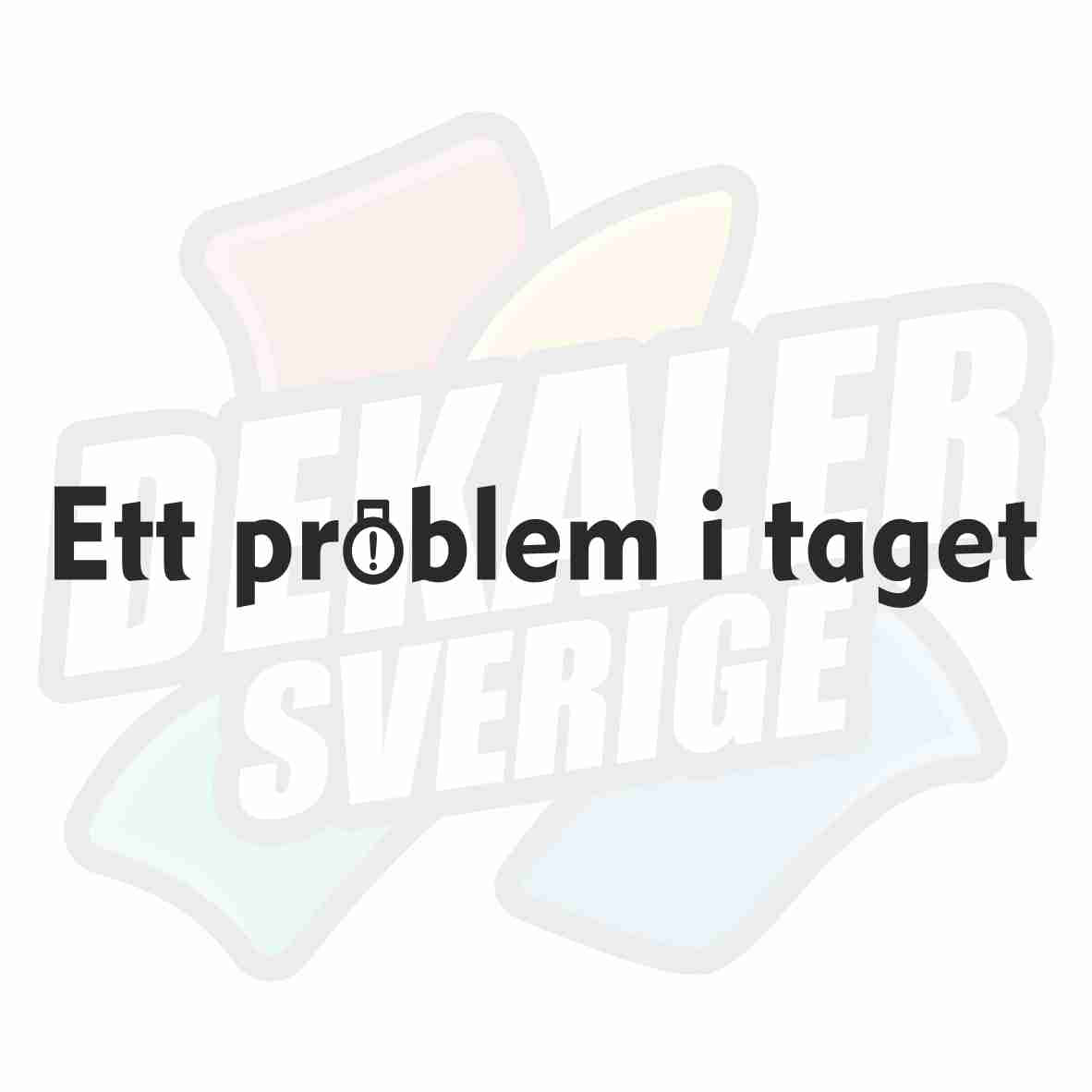 Ett problem i taget - Dekal