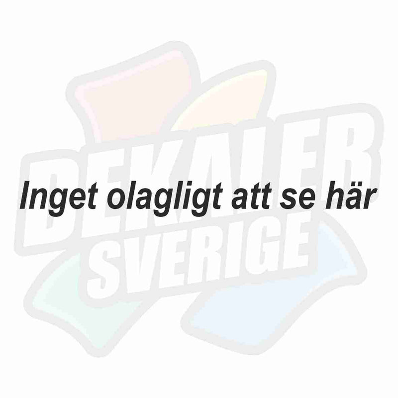 Inget olagligt att se här - Dekal