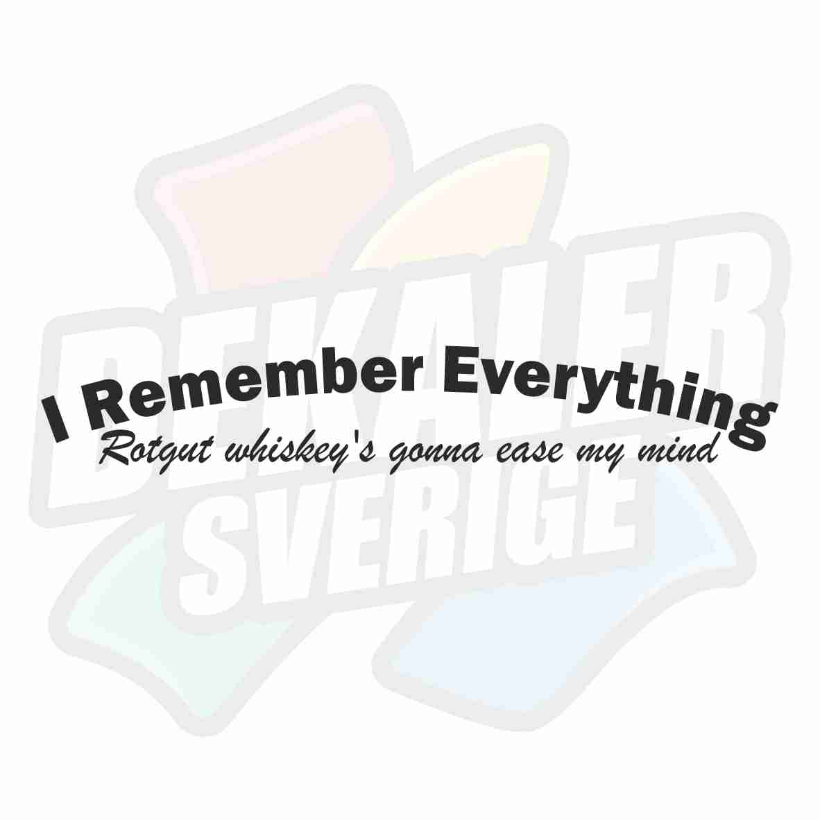 I remember everything - Dekal