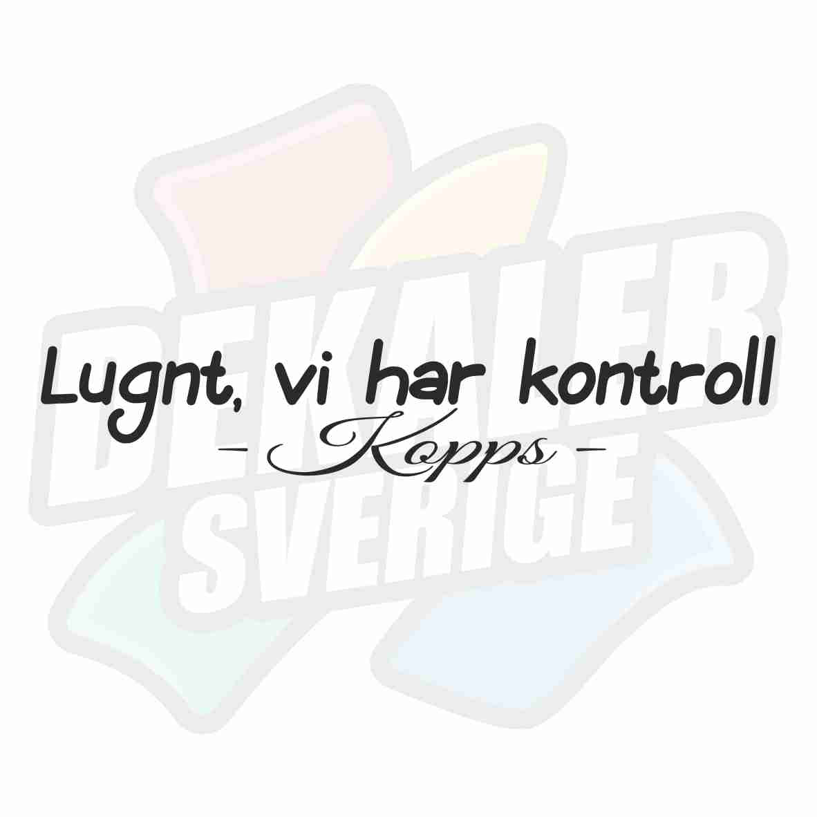 Lugnt VI Har Kontroll - Dekal