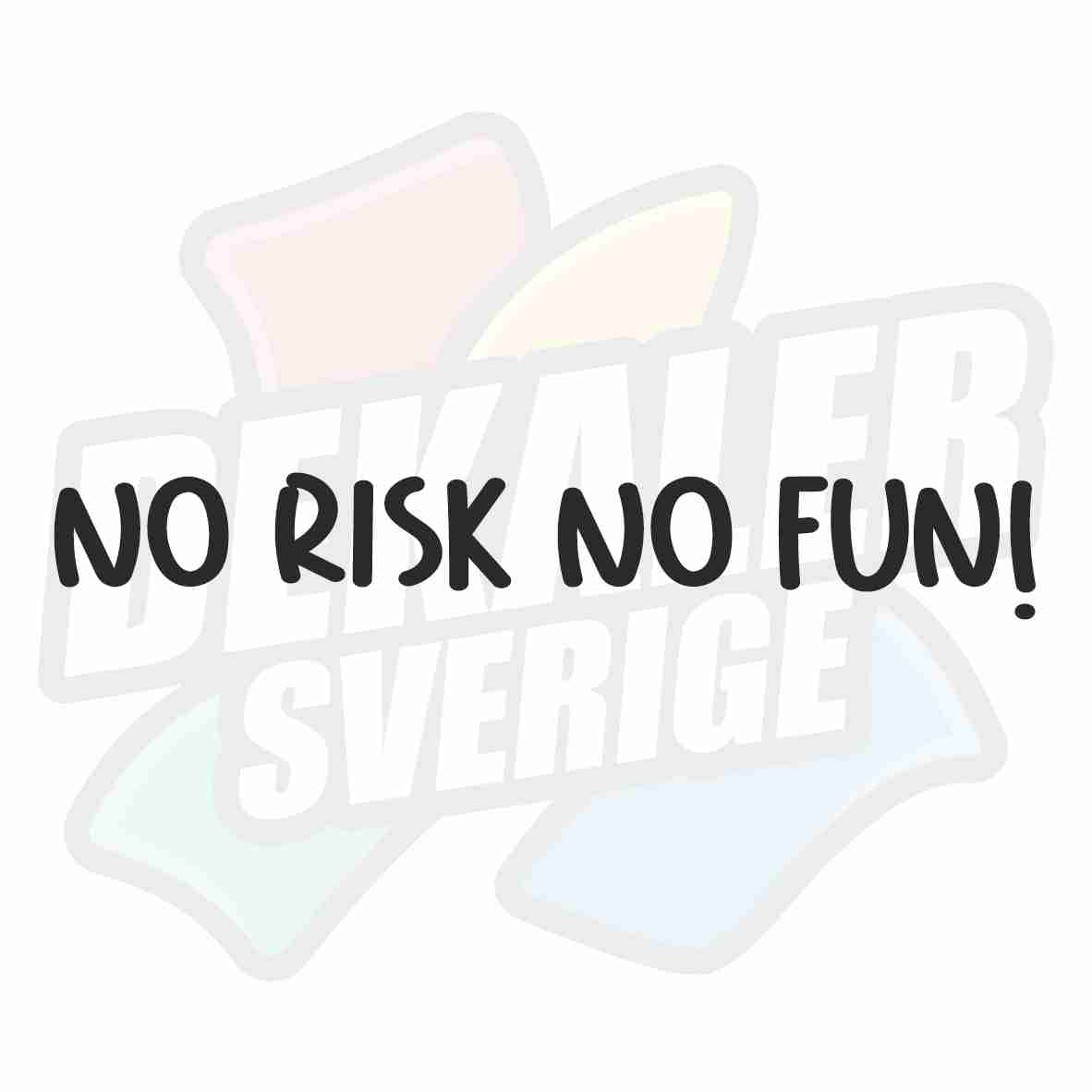NO RISK NO FUN! - Dekal