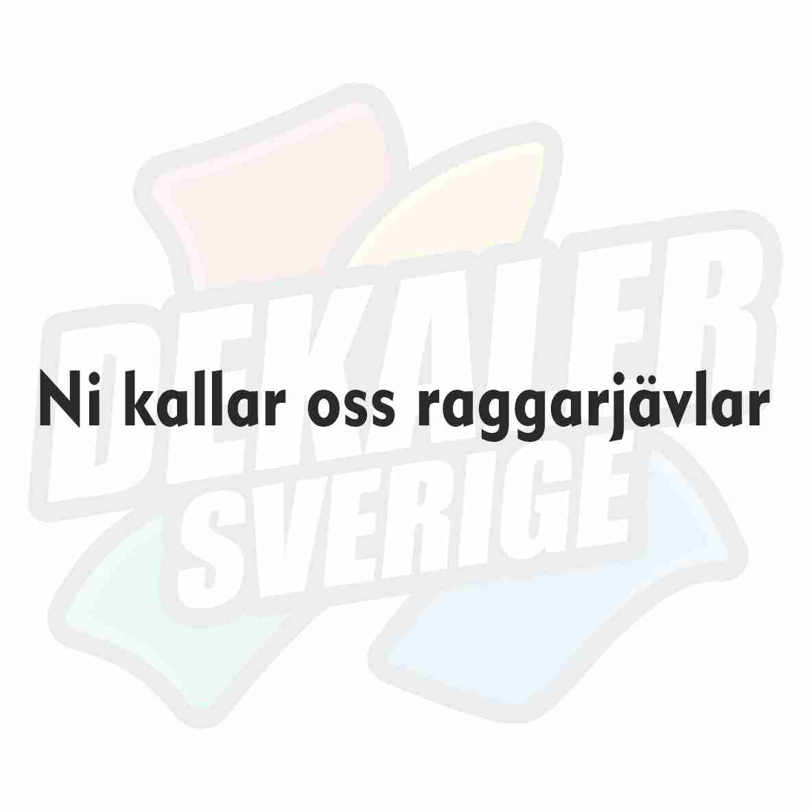 Ni Kallar Oss Raggarjävlar - Dekal