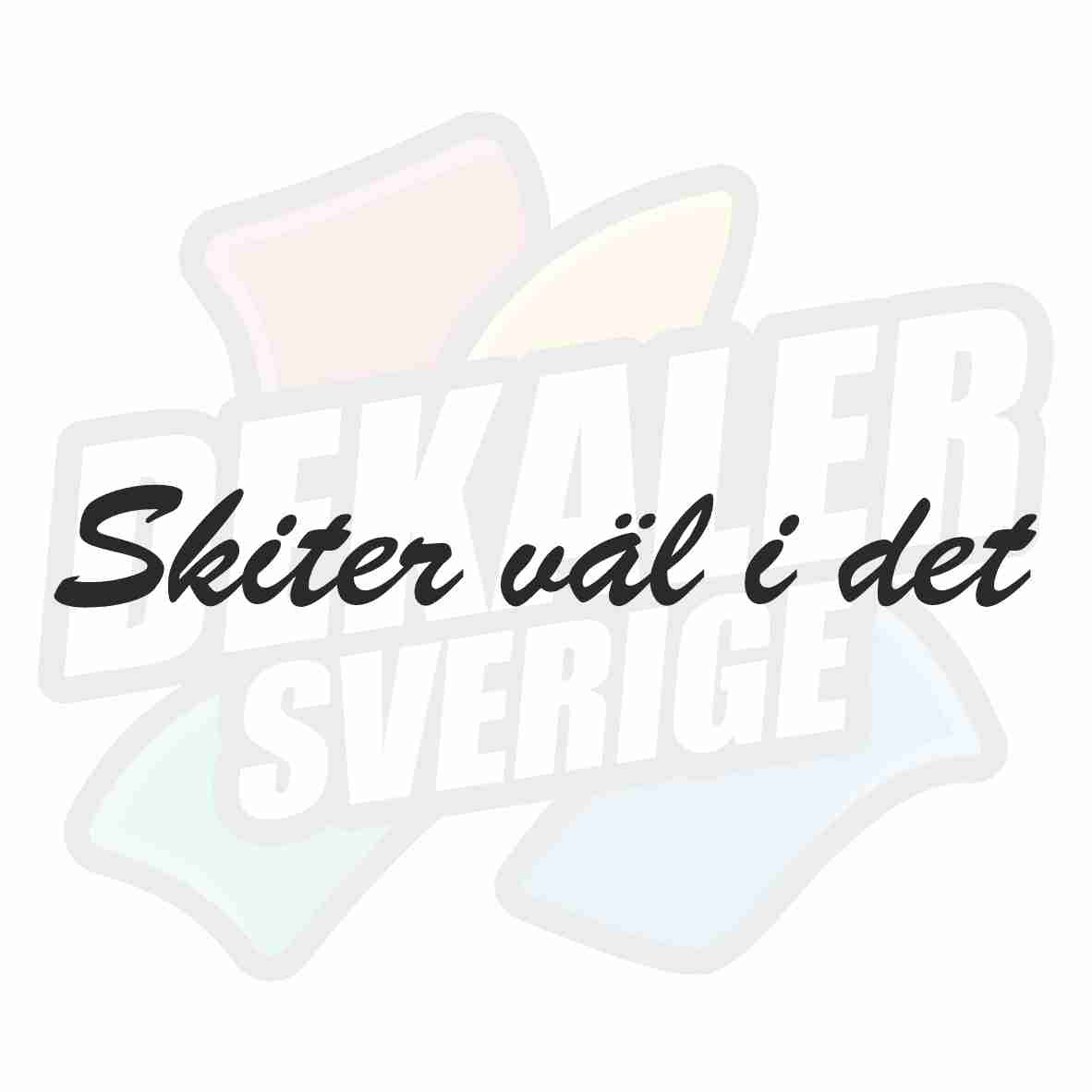 Skiter väl i det - Dekal